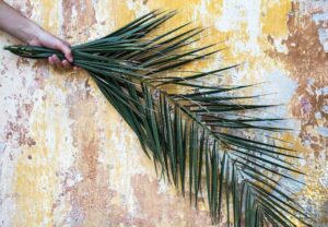 Palmzondag – Intocht in Jeruzalem 