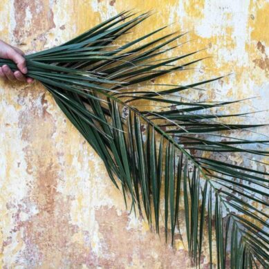 Palmzondag – Intocht in Jeruzalem 